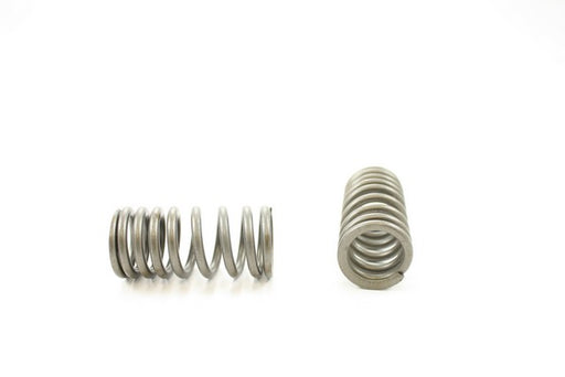 Engine Valve Spring Pioneer RV-1452