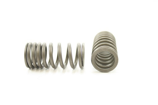 Engine Valve Spring Pioneer RV-1453