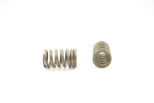 Engine Valve Spring Pioneer RV-1457