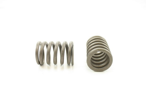 Engine Valve Spring Pioneer RV-1503