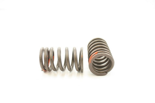 Engine Valve Spring Pioneer RV-1522