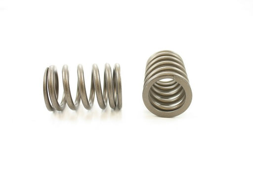 Engine Valve Spring Pioneer RV-1530