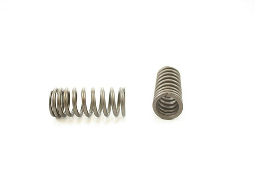 Engine Valve Spring Pioneer RV-1537
