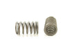 Engine Valve Spring Pioneer RV-1541