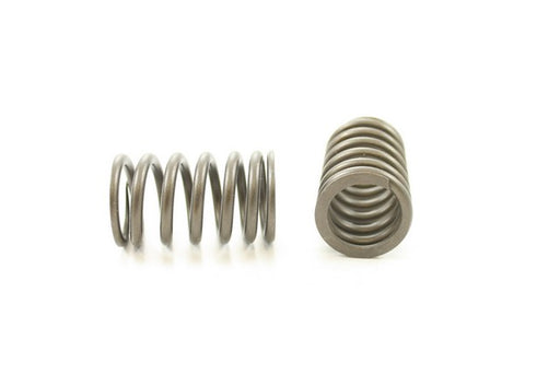 Engine Valve Spring Pioneer RV-1541