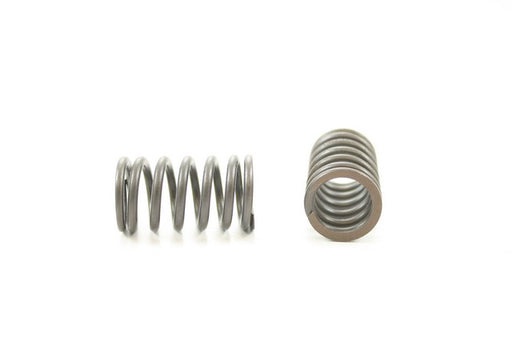 Engine Valve Spring Pioneer RV-1549