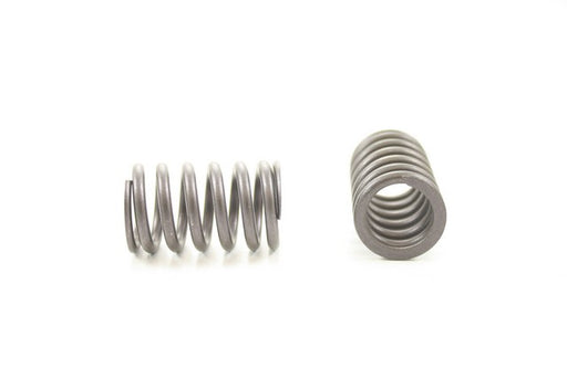 Engine Valve Spring Pioneer RV-1551