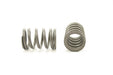 Engine Valve Spring Pioneer RV-1555