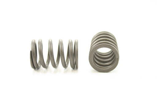 Engine Valve Spring Pioneer RV-1555
