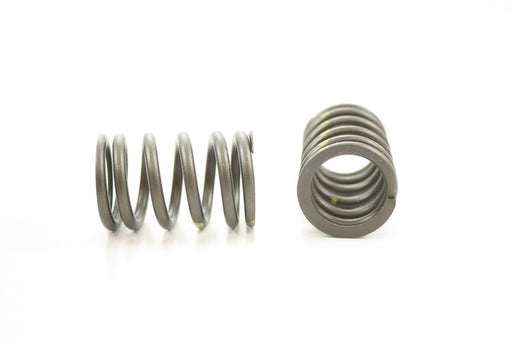 Engine Valve Spring Pioneer RV-1556