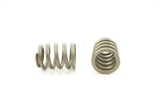 Engine Valve Spring Pioneer RV-1558