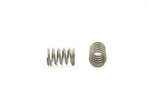Engine Valve Spring Pioneer RV-1582