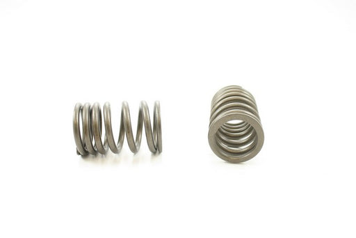 Engine Valve Spring Pioneer RV-1583
