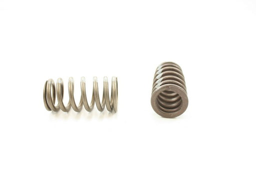 Engine Valve Spring Pioneer RV-1615
