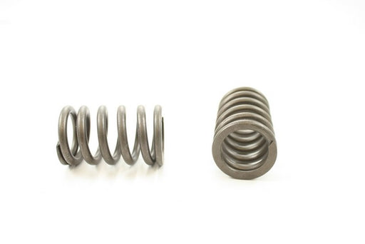 Engine Valve Spring Pioneer RV-1680