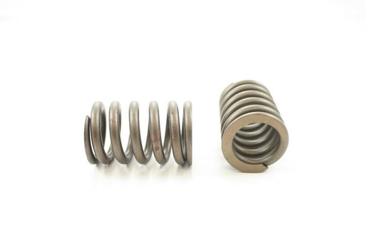 Engine Valve Spring Pioneer RV-2210