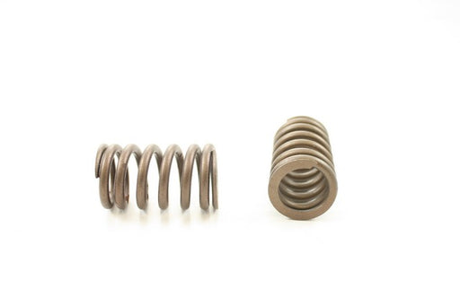 Engine Valve Spring Pioneer RV-2215