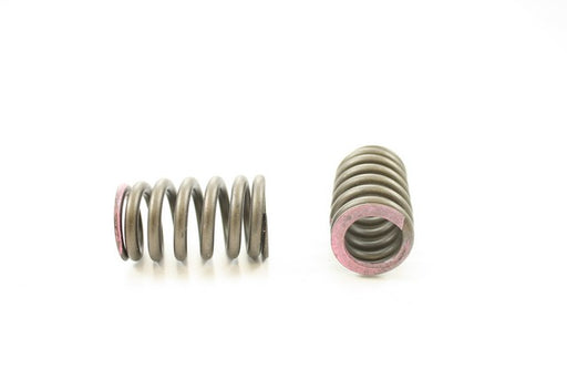 Engine Valve Spring Pioneer RV-2221