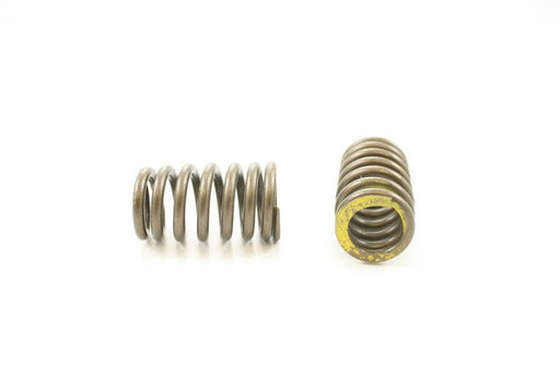 Engine Valve Spring Pioneer RV-2223