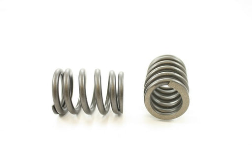 Engine Valve Spring Pioneer RV-2225