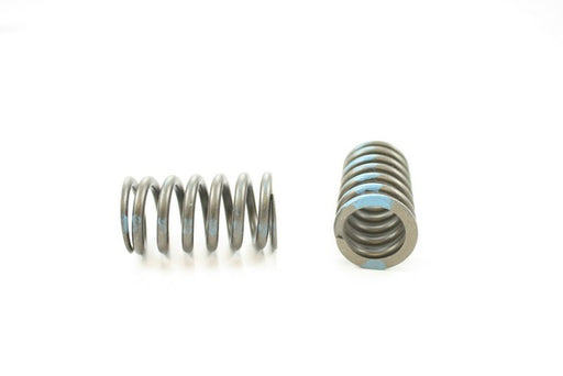 Engine Valve Spring Pioneer RV-2230