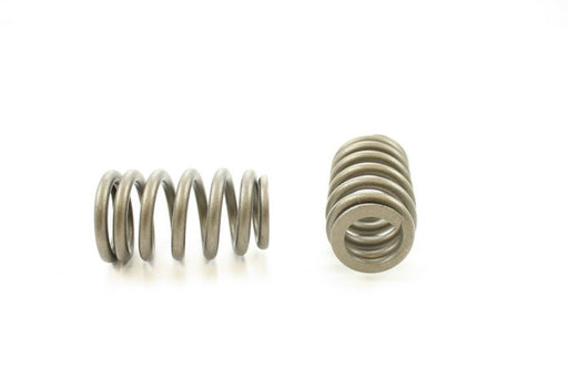 Engine Valve Spring Pioneer RV-2234