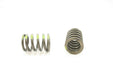 Engine Valve Spring Pioneer RV-2302