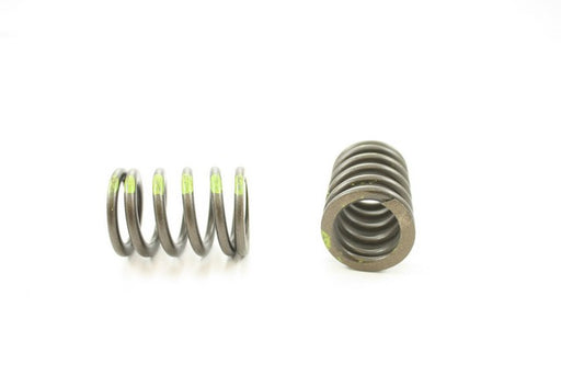 Engine Valve Spring Pioneer RV-2302