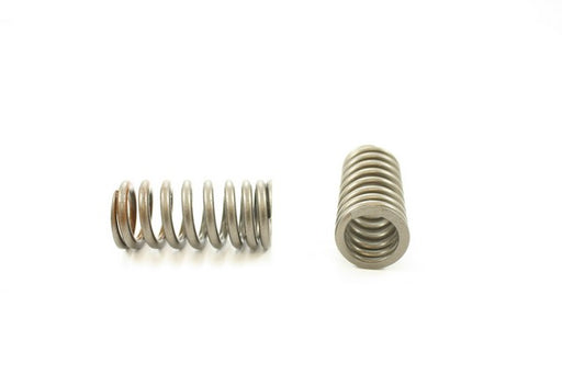 Engine Valve Spring Pioneer RV-2400