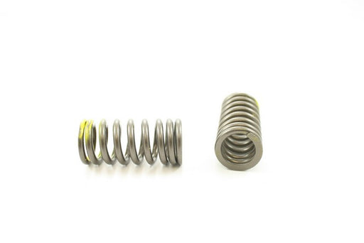 Engine Valve Spring Pioneer RV-2404