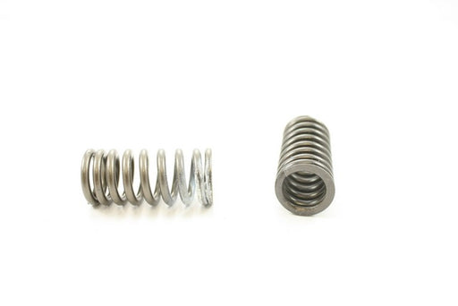 Engine Valve Spring Pioneer RV-2406