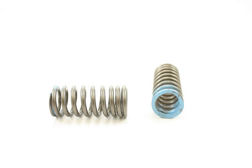 Engine Valve Spring Pioneer RV-2408