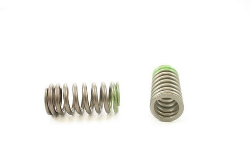Engine Valve Spring Pioneer RV-2410
