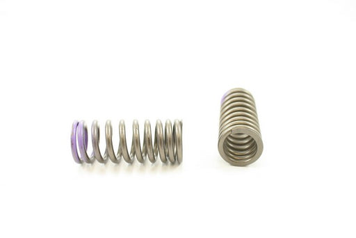 Engine Valve Spring Pioneer RV-2412
