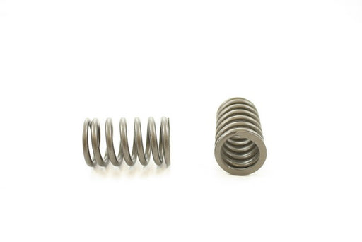 Engine Valve Spring Pioneer RV-2450