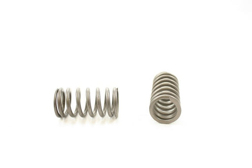 Engine Valve Spring Pioneer RV-2451