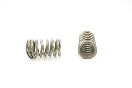 Engine Valve Spring Pioneer RV-415