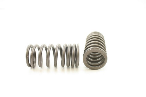 Engine Valve Spring Pioneer RV-433