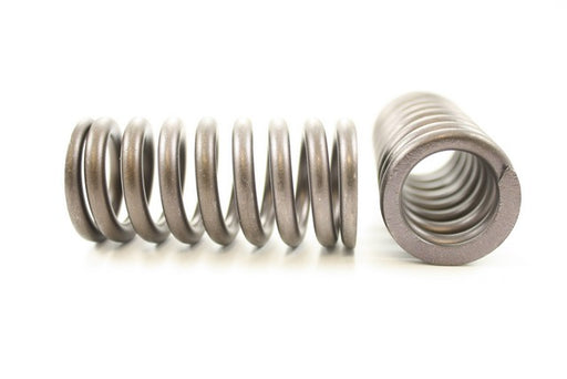 Engine Valve Spring Pioneer RV-454