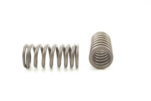 Engine Valve Spring Pioneer RV-527