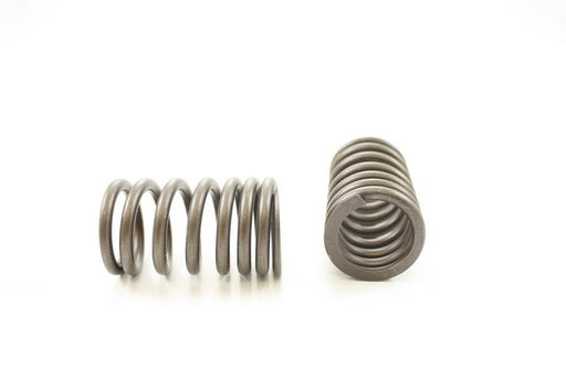 Engine Valve Spring Pioneer RV-558