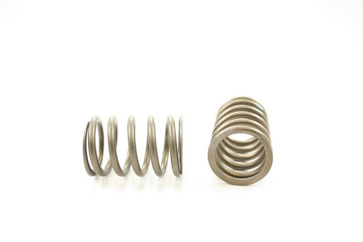 Engine Valve Spring Pioneer RV-576