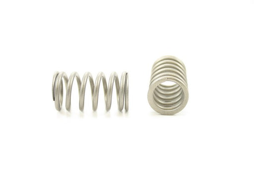 Engine Valve Spring Pioneer RV-577