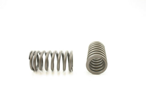Engine Valve Spring Pioneer RV-607