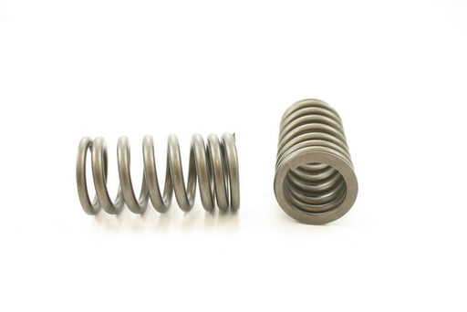 Engine Valve Spring Pioneer RV-619