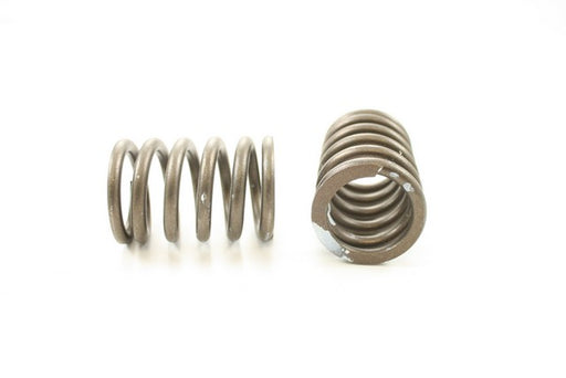 Engine Valve Spring Pioneer RV-672