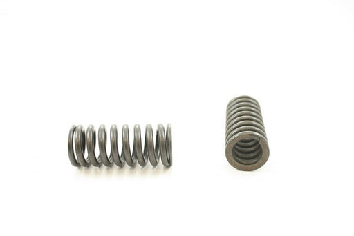 Engine Valve Spring Pioneer RV-686