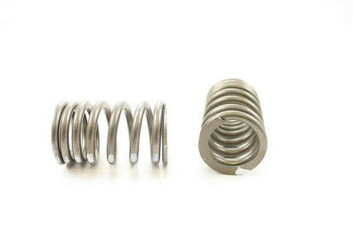 Engine Valve Spring Pioneer RV-696