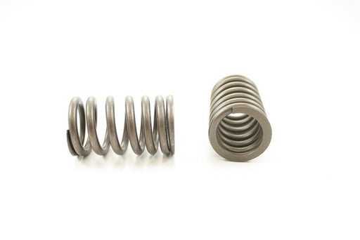 Engine Valve Spring Pioneer RV-735