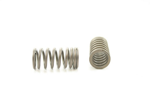 Engine Valve Spring Pioneer RV-736